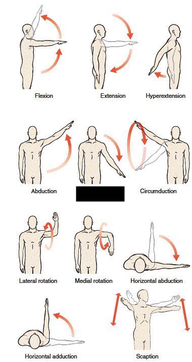 Glenohumeral joint 

what is this?