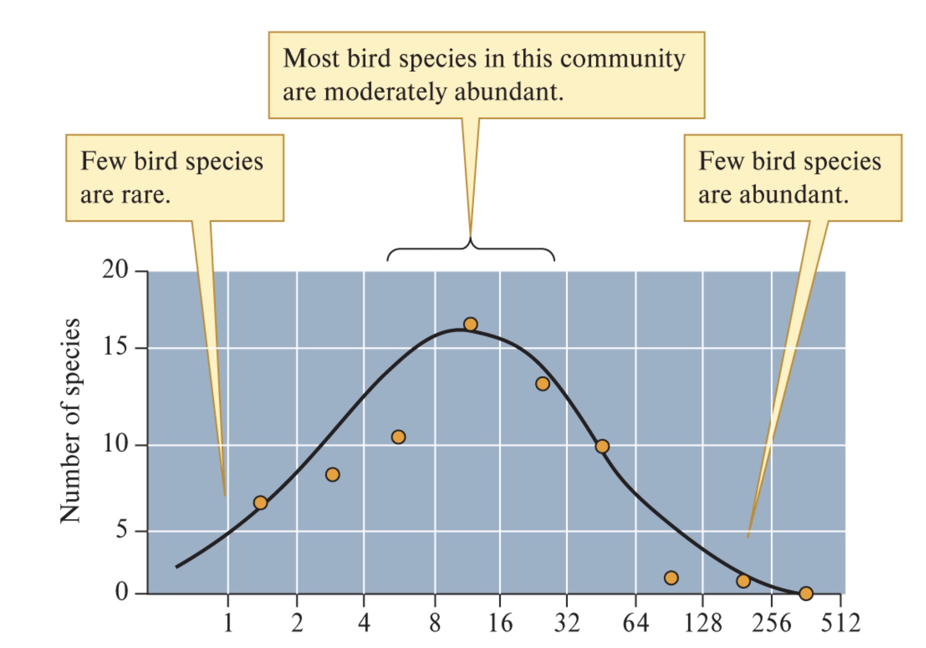 <p>An ecological model that uses a lognormal distribution to show most species are moderately abundant with even fewer species being extremely rare or extremely common.</p>