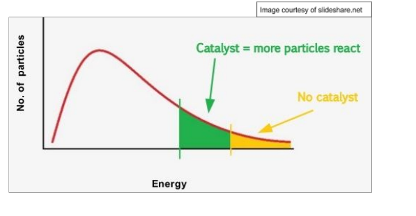 <p>activation energy shifted left</p>