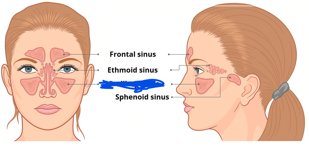 <p>Name the structure</p>