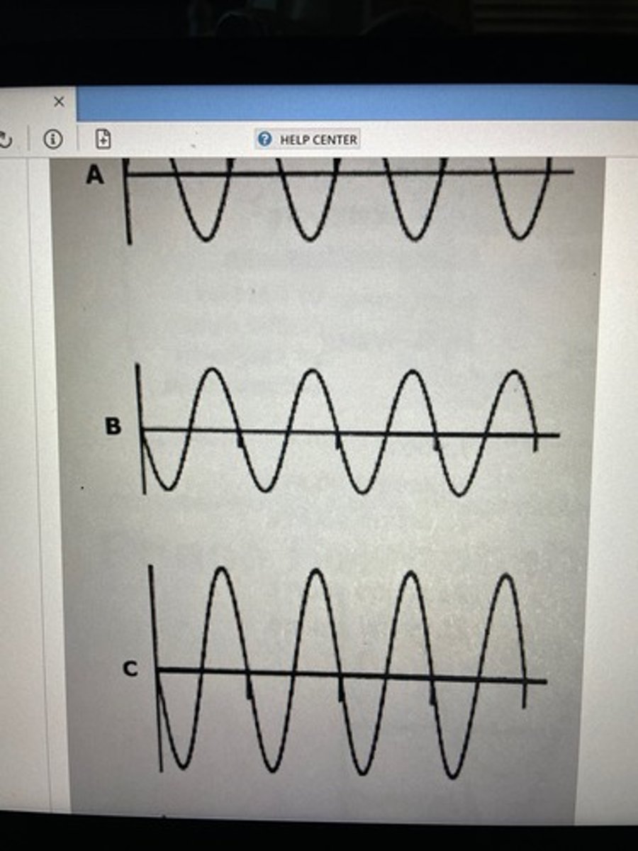 <p>Which of the following best describes waves A and E?</p>