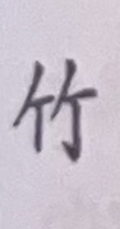 term image