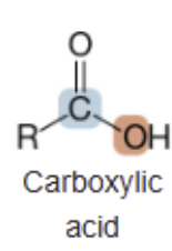 <p>Carboxylic acid</p>