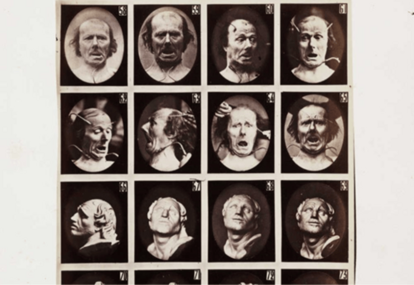 <p>the supposed art of judging character from facial characteristics.</p>