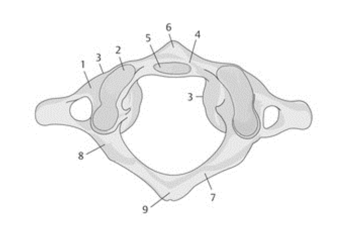 <p>5</p>