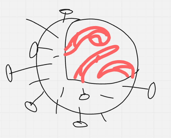 <p>what is the name of this basic virus shape?</p>