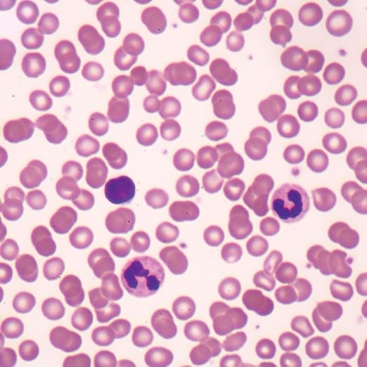 <p>identify&nbsp;</p>