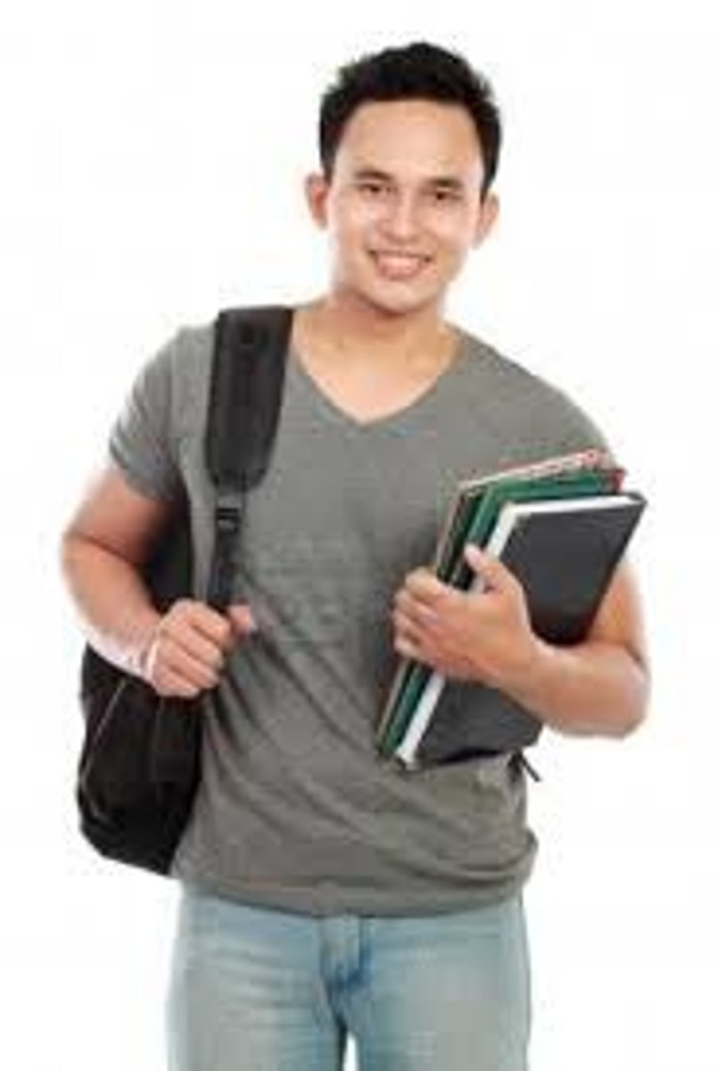 <p>l'étudiant, les </p>