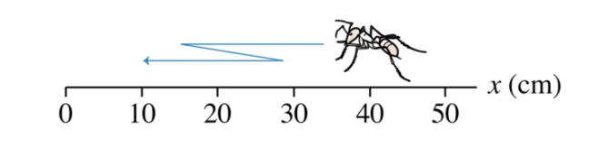 <p>an ant zig zags back and forth on a picnic table, the ants distance straveled and displacement are?</p>