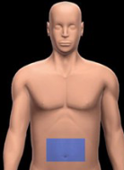 <p>Between the right and left lumbar regions, primarily containing the small intestine and parts of the colon. </p>