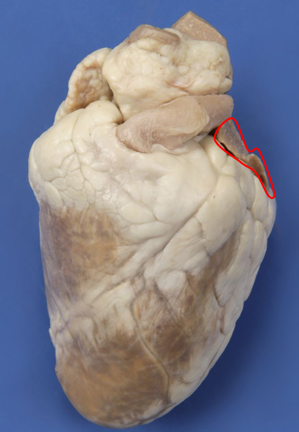 <p>What is pointed out?</p>