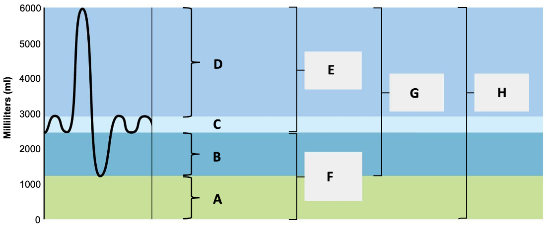 <p>H</p>