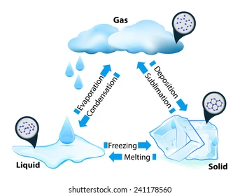<p>Solid to liquid = melting.</p><p>Liquid to solid = freezing.</p><p>Liquid to gas = evaporation.</p><p>Gas to liquid = condensation.</p><p>Solid to gas = sublimation.</p><p>Gas to solid = deposition.</p>