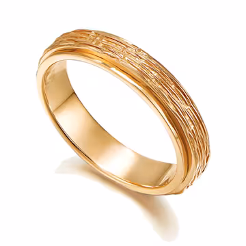 <p>anello d’oro</p>