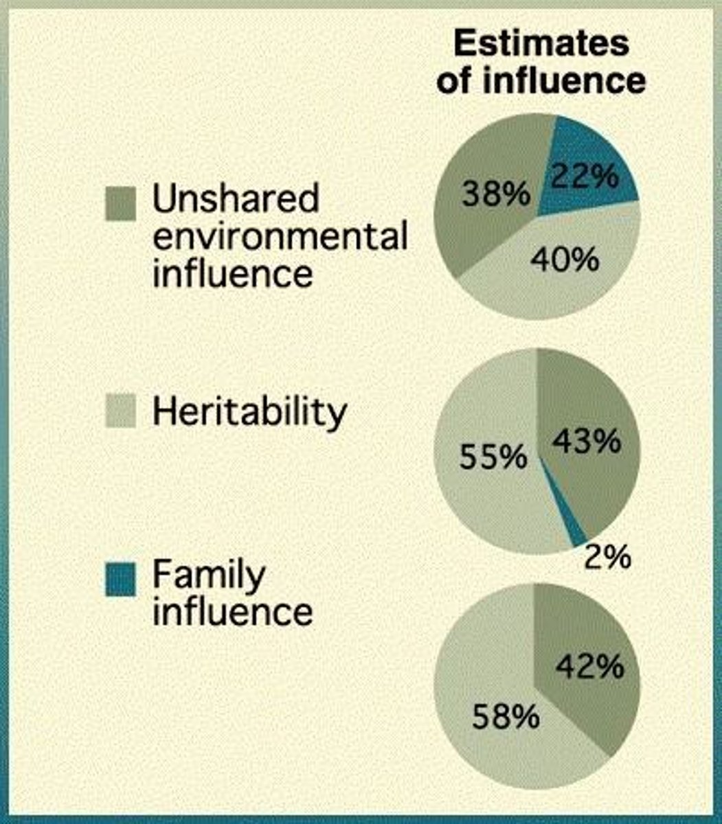 <p>Shared environment (Es) makes siblings alike, while non-shared environment (En) makes siblings different.</p>