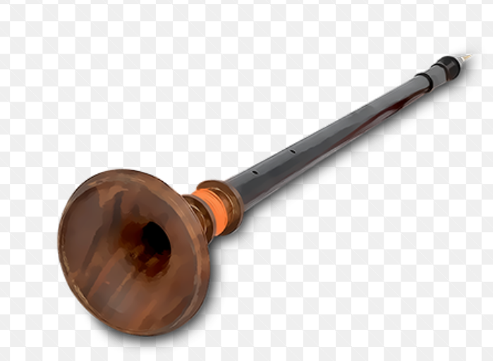 <p>A loud, double-reed wind instrument used in South Indian temple music.</p>