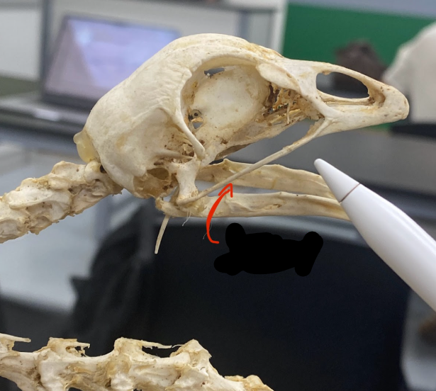 <p>What part is this</p>