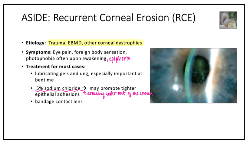 <p>poor epi attachment to basement membrane secondary to trauma or EBMD</p>