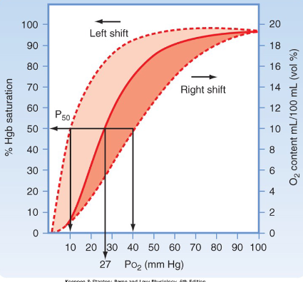 <ul><li><p>Flat upper portion</p><ul><li><p>Even if PO2 in alveolar gas falls, loading of O2 not greatly affected</p></li></ul></li><li><p>Steep lower portion</p><ul><li><p>Peripheral tissues can withdraw large amounts of O2 for only a small drop in capillary PO2</p></li><li><p>Maintenance of blood PO2 assists diffusion of O2 into tissue cell</p></li></ul></li></ul><p>Going from a high to low concentration of O2 is what’s happening in the diagram.</p>