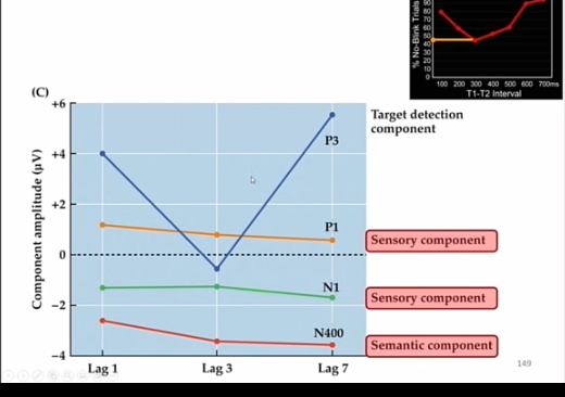<p>lag 3 moment waar je ongeveer 300ms tussen target 1 en target 2 hebt</p><p></p><p>geen modulatie van vroege ERP componenten door de tijd van attentional blink, wel modulatie van P3, identiek aan filmpje</p>