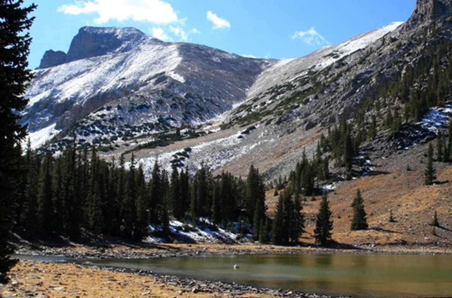 <p>Nevada</p>