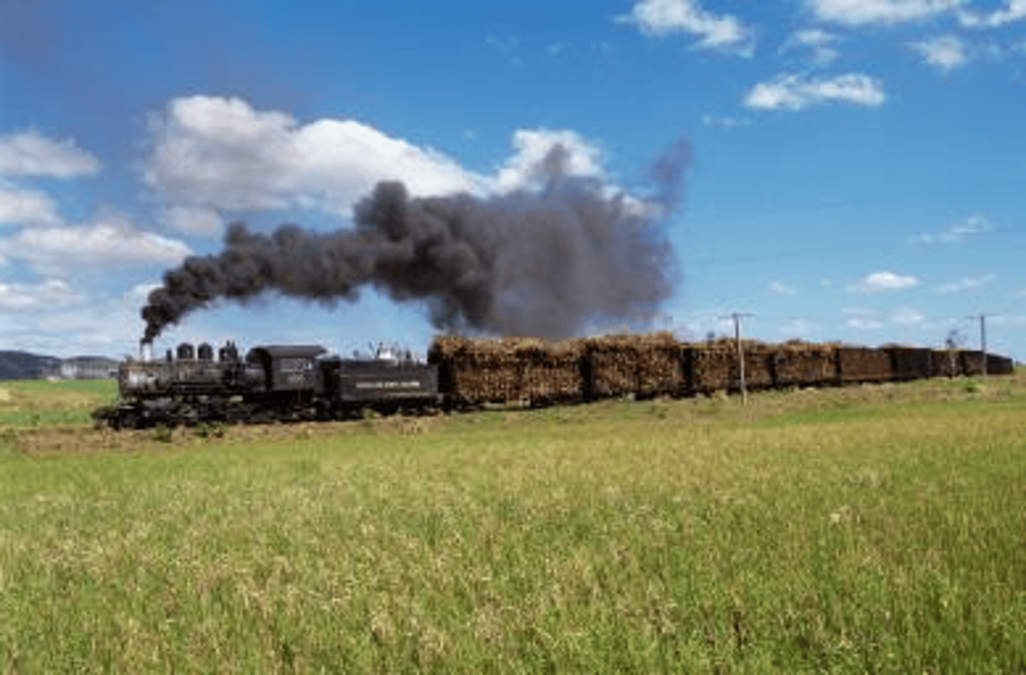 <p>Bonanza farmers could not compete with the smaller farmers, who were more flexible in the crops they grew. The high price of THIS their crops also added to farmers debt.</p>