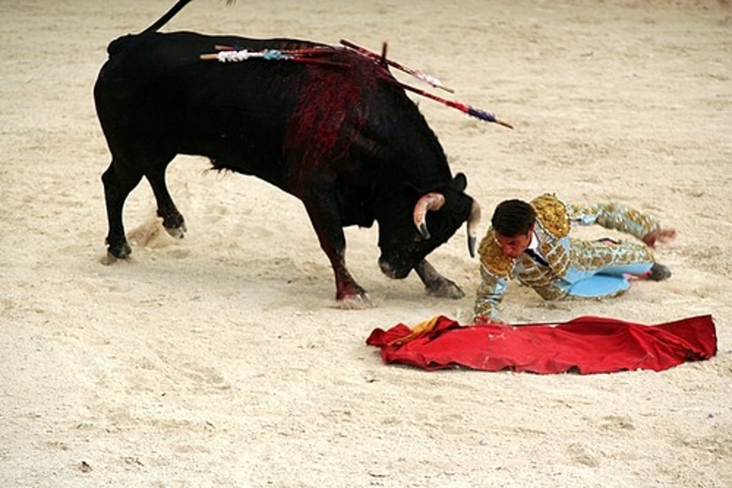 <p>bullfighting</p>