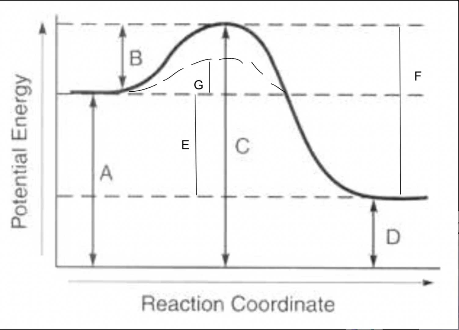<p>G</p>