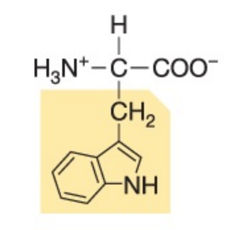 <p>Non-polar, hydrophobic</p>