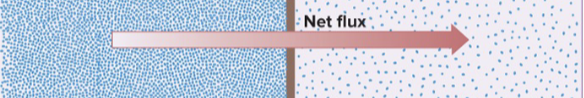 <p>What is Net flux gradient? Explain</p>