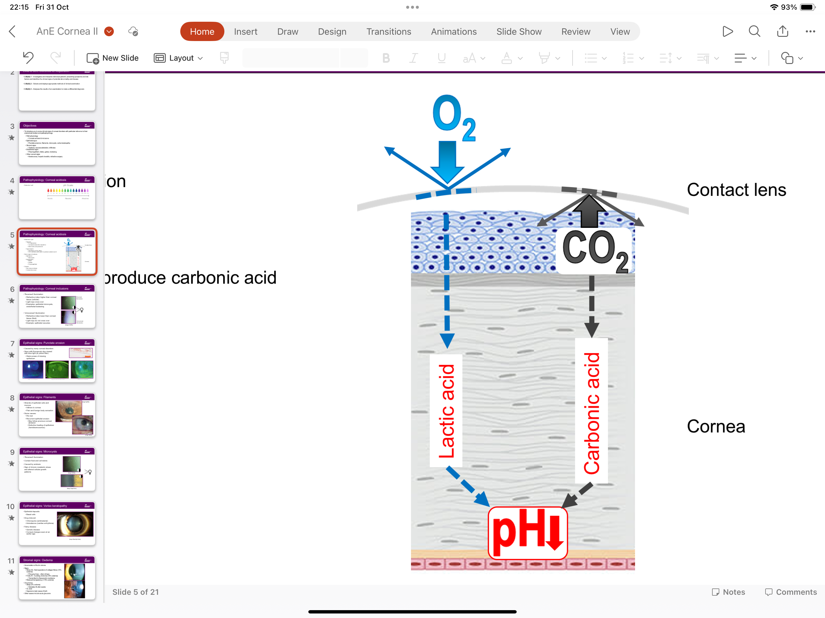 <p>Slow down of carbon dioxide efflux, abusing carbon dioxide combining with water to form carbonic acid</p>