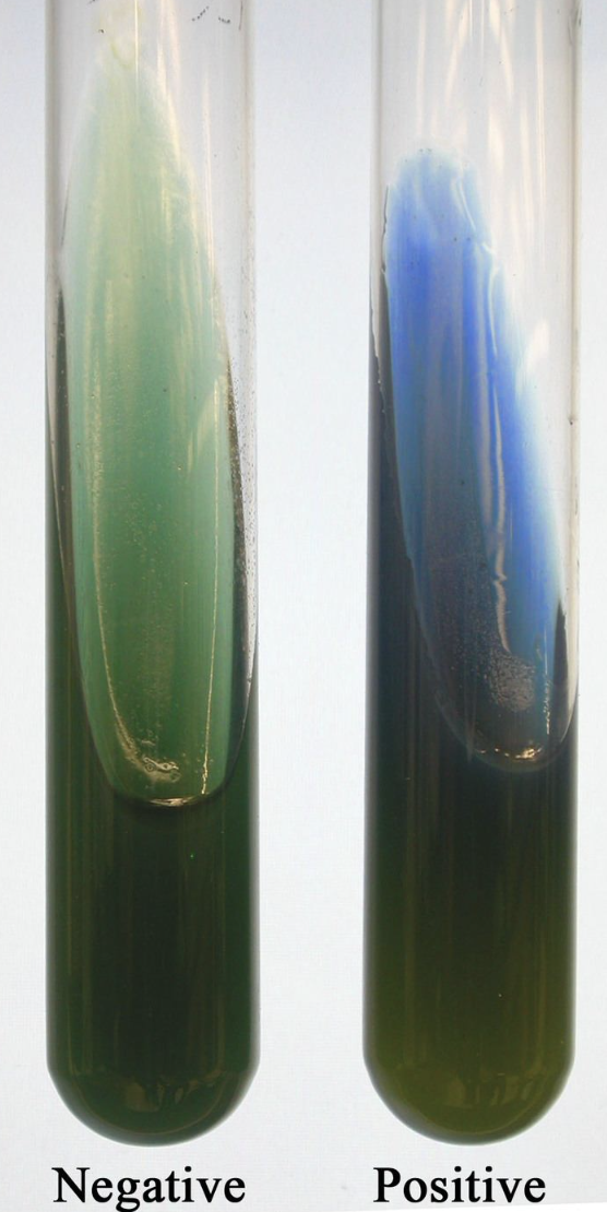 <p>What kind of test is this?</p>