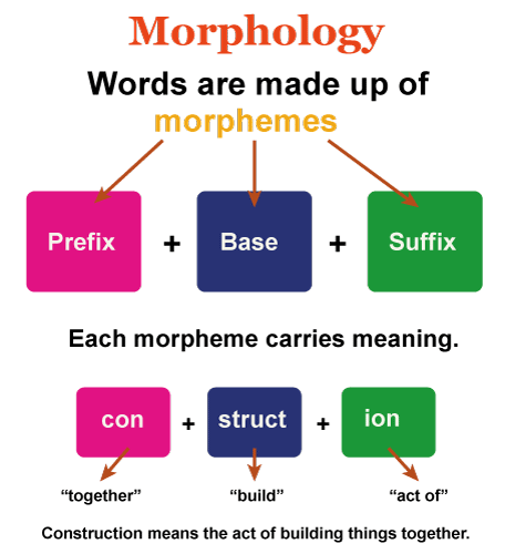 <p>morpheme </p>