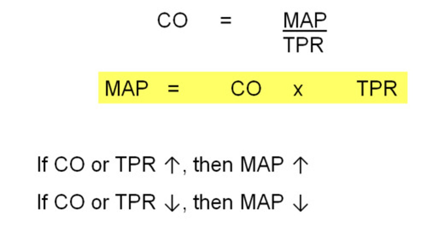 <p>the resistance of the entire cardiovascular system</p>