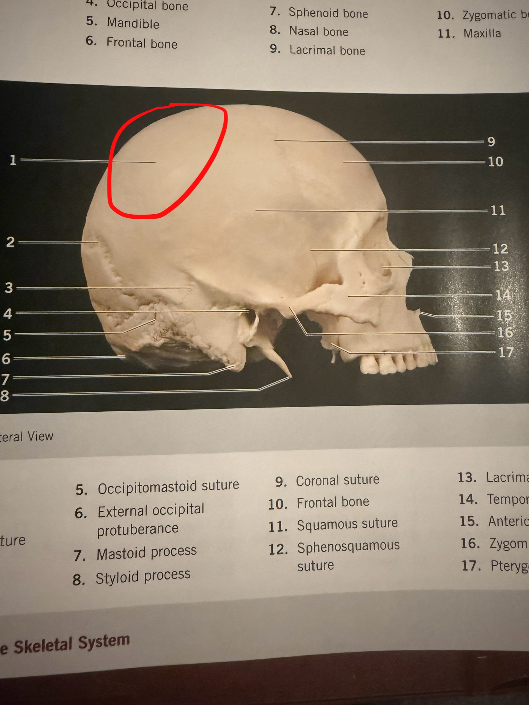 <p> </p>