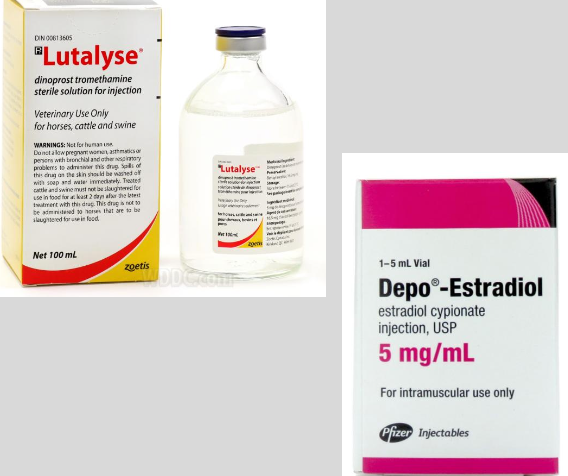<p>-long term cases are challenging (longer than 2 months= lesser chances of getting pregnant)</p><p>-can lead to endometrial damage</p>