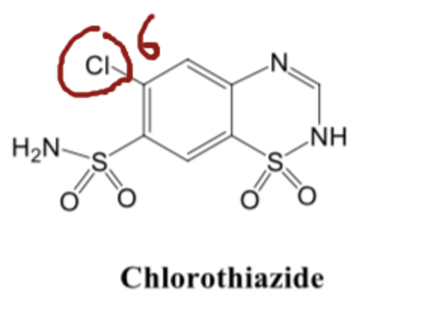 <p>- position 6</p><p>Little diuretic activity is seen with a hydrogen atom at position 6, whereas compounds with a chloro or trifluoromethyl substitution are highly active. The trifluoromethyl-substituted diuretics are more lipid-soluble and have a longer duration of action than their chloro-substituted analogs.</p>