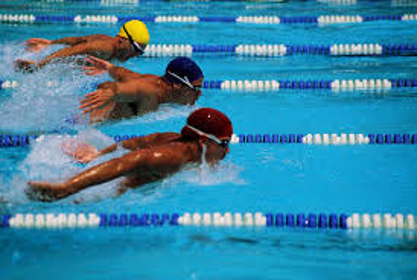 <p>swimming</p>