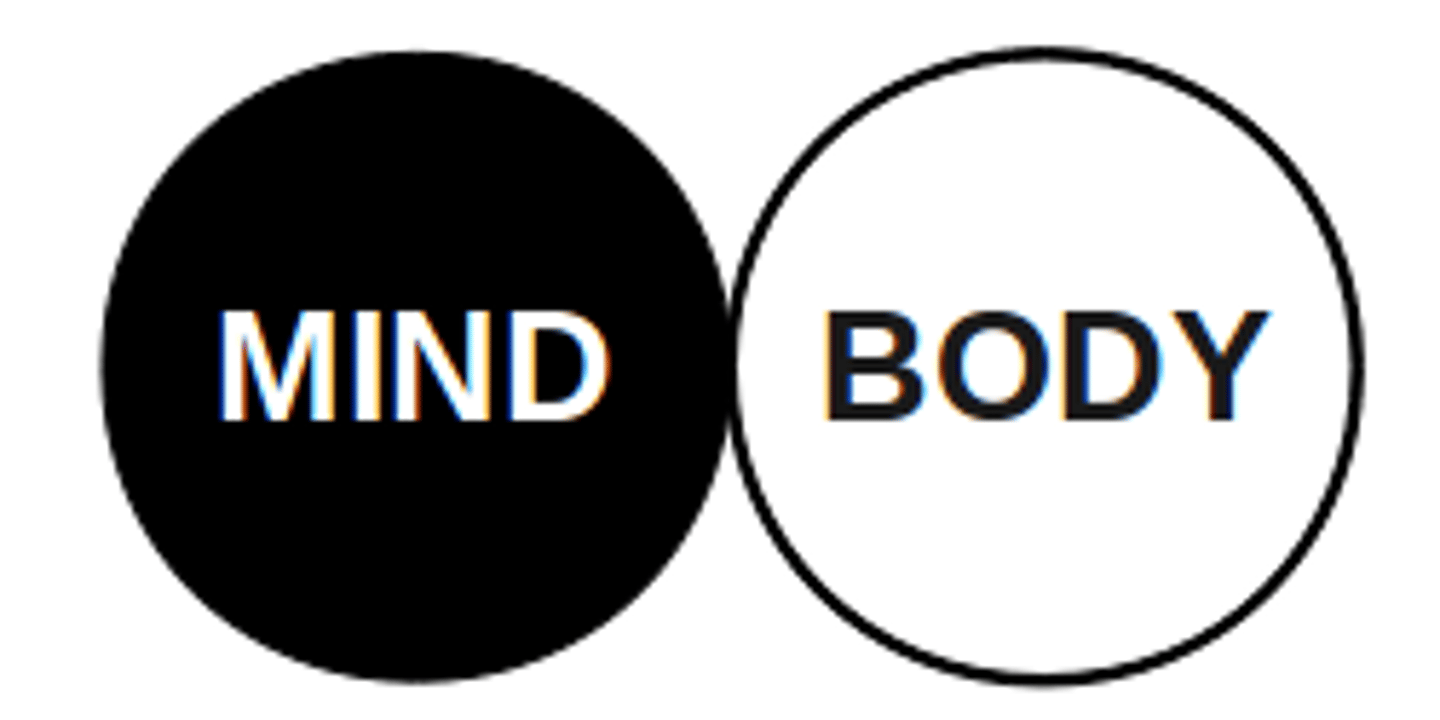 <p>Idea that the soul and body are seperate</p>