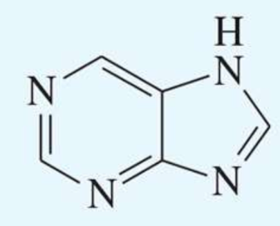 <p>UV absorption maxima of purine </p>