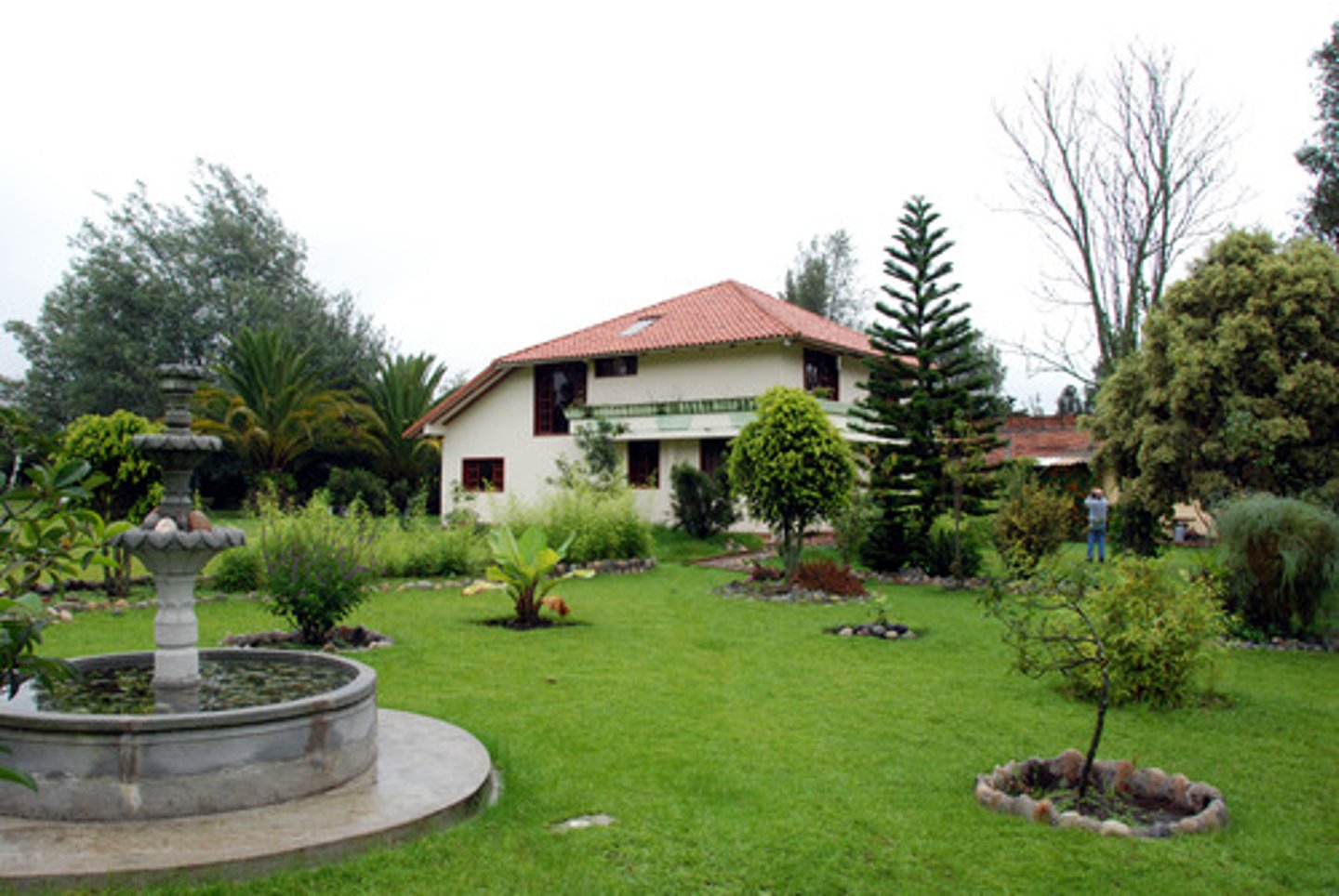 <p>garden; yard</p>