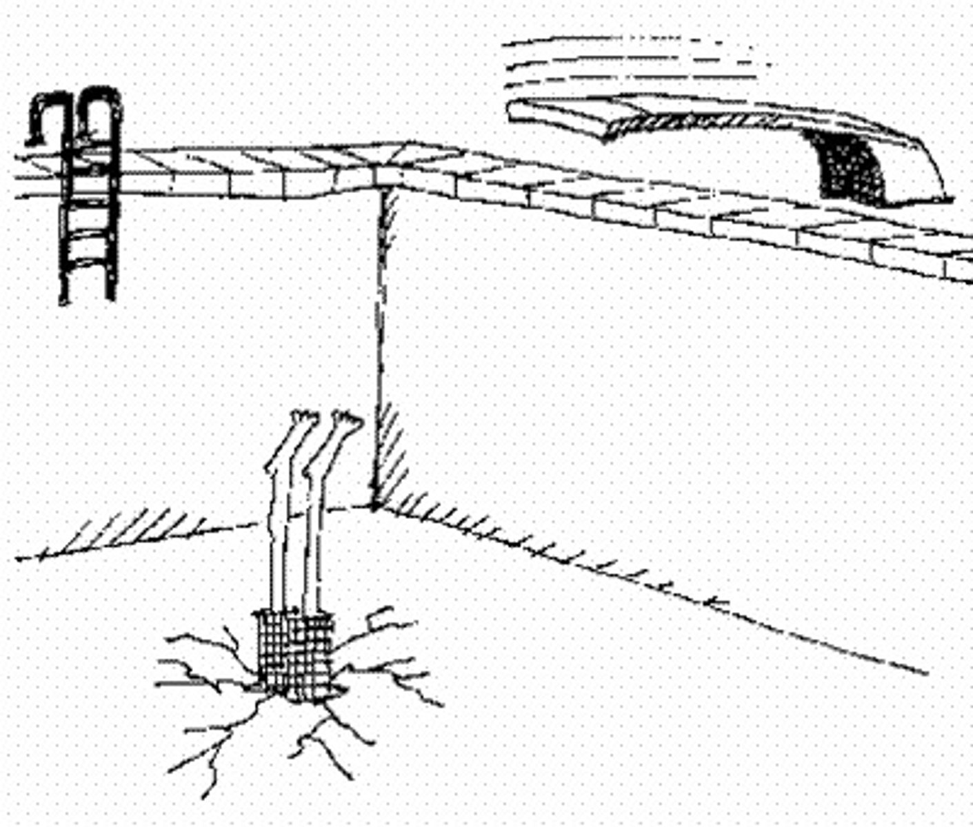 <p>thiếu, không có</p>