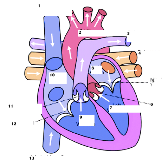 <p>5</p>