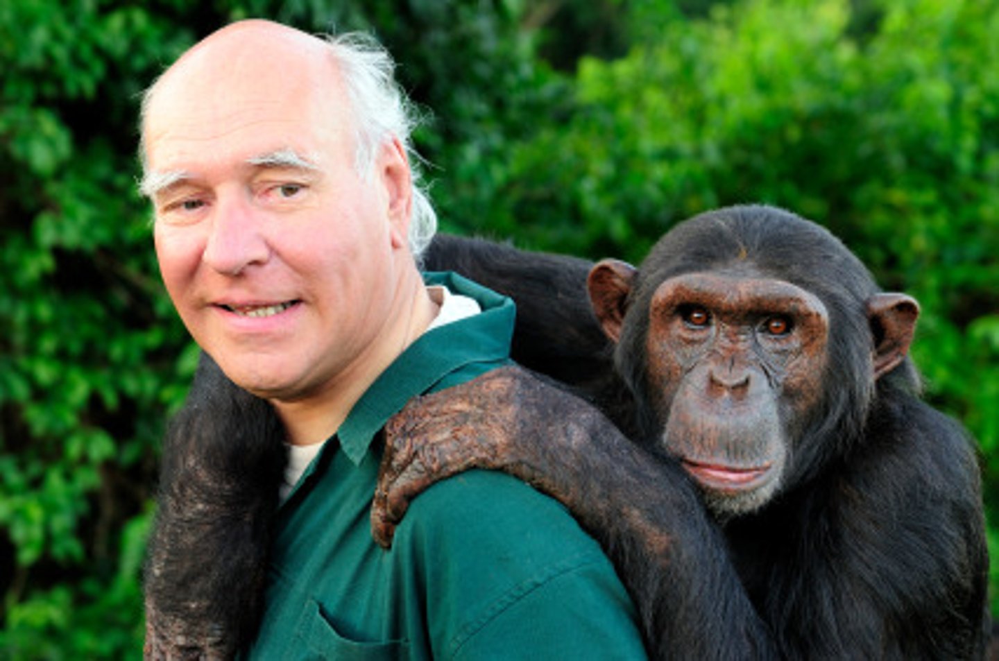 <p><span style="color: green"><strong>(n) nhà động vật học</strong></span><br><em>The ___ conducted research on animal behavior in the wild.</em></p>