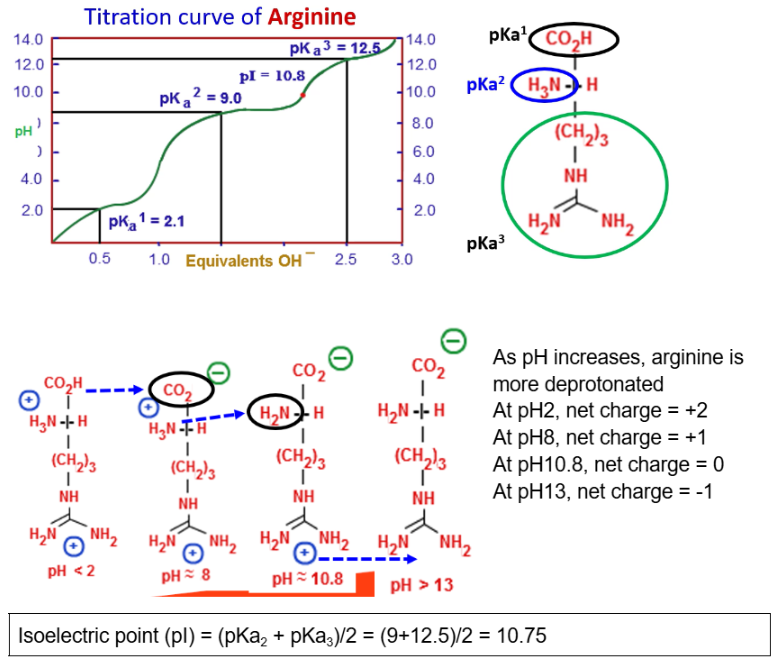 <p><span>To determine pI, need to perform a titration</span></p>