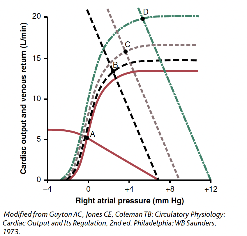 <p>In the above figure, for the cardiac output and venous return</p><p class="MsoNormal">curves defined by the solid red lines (with the equilibrium at A), which of the following options is true?</p><p class="MsoNormal">A) Mean systemic filling pressure is 12 mm Hg</p><p class="MsoNormal">B) Right atrial pressure is 2 mm Hg</p><p class="MsoNormal">C) Resistance to venous return is 1.4 mm Hg/l/min</p><p class="MsoNormal">D) Pulmonary arterial flow is approximately 7 l/min</p><p class="MsoNormal">E) Resistance to venous return is 0.71 mm Hg/l/min</p>