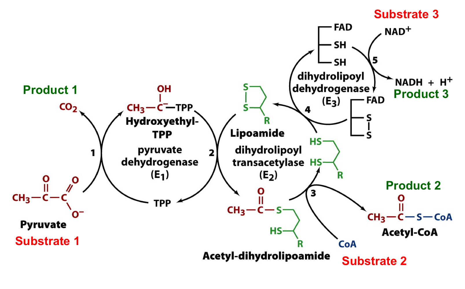 products: CO2, acetyl-CoA, and NADH + H+

substrates: pyruvate, CoA, and NAD+