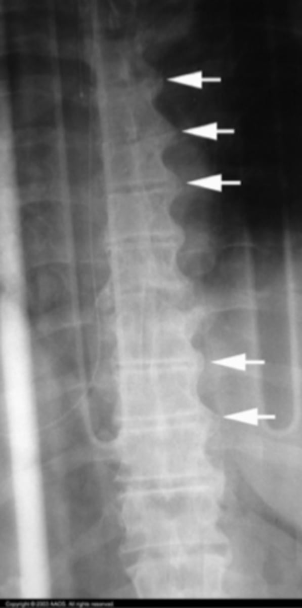 <p>What is the issue?</p>