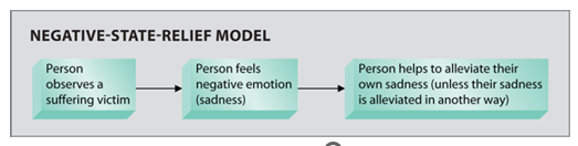 <p>States that underlying motivation to help is always selfish</p>