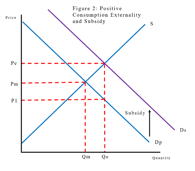 <p>The government has policy options to correct the externality, one being a subsidy given to the consumer to increase consumption. </p><p>Since there’s external benefits from the consumption of penicillin, the subsidy causes all benefits to be included. This is shown in Figure 2. </p><p>In Figure 2, the market is at Dp and S with quantity at Qm and price at Pm, the same as in Figure 1, which results in DWL. </p><p>The government can impose a subsidy, which is a direct or indirect payment granted to private firms or households with the aim of increasing production or consumption. In the case of a positive consumption externality, a subsidy would be given to the consumer. </p><p>The subsidy in this case should be equal to the external benefit (difference between Dp and Ds) which increases demand from Dp (private benefit curve) to Ds (the social benefit curve that reflects private benefit plus the external benefit). </p><p>This causes quantity to increase from Qm to Qe with the price consumers pay to decreasing from Pm to P1 and price producers receive increasing from Pm to Pe. </p><p>As Pe, Qe takes into account the external benefit of consumption, it therefore is the efficient outcome (there is no DWL as the externality is ‘internalised’). </p><p>Though there is a cost to the government, it corrects the market failure, which is overall beneficial to society.</p><p></p>